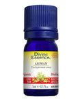 Organic Ajowan Essential Oil 5 Ml by Divine Essence