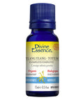 Organic Essential Oil Ylang Ylang Totum (complete) 15 Ml by Divine Essence