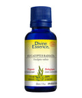 Organic Essential Oil Eucalyptus Radiata 30 Ml by Divine Essence