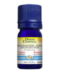 Organic Essential Oil Frankincense India 5 Ml by Divine Essence