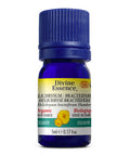 Organic Essential Oil Helichrysum -Bracteiferum 5 Ml by Divine Essence