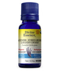 Organic Essential Oil Lavander Hybrid Grosso 15 Ml by Divine Essence