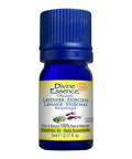 Organic Essential Oil Lavender Stoechas 5 Ml by Divine Essence
