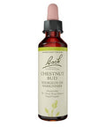 Chestnut Bud 20 ML by Bach