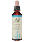 Chicory 20 ML by Bach