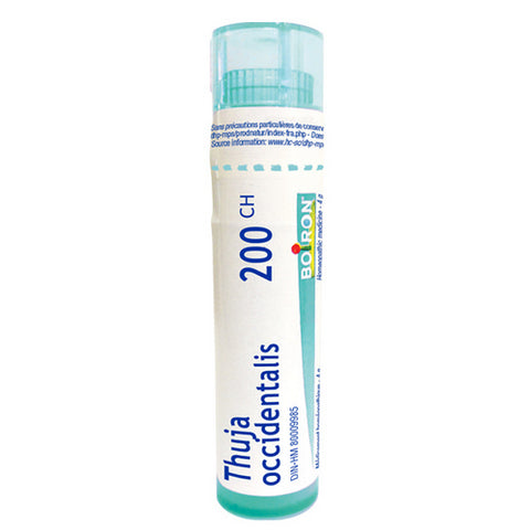 Thuja Occidentalis 200 Ch 80 Count by Boiron