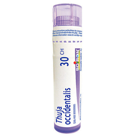 Thuja Occidentalis 30 ch 80 Pellets  by Boiron