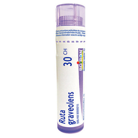 Ruta Graveolens 30 Ch 80 Count by Boiron