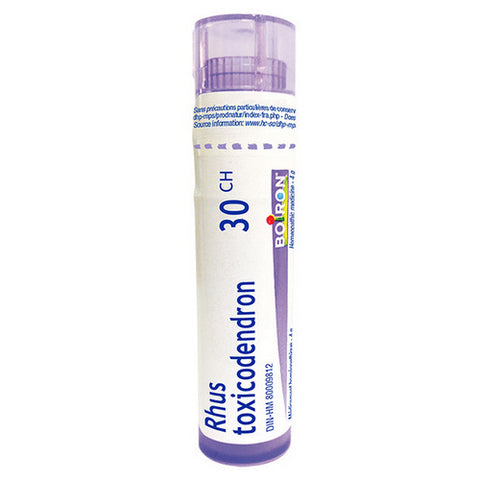 Rhus Toxicodendron 30 Ch 80 Count by Boiron
