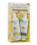 Ginger INVIGORATE Shampoo and Conditioner 2 Count by Herbal Glo