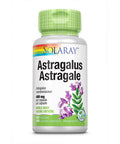 Astragalus 100 Caps by Solaray