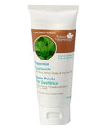 Spearmint Toothpaste 90 mL by Newco Natural Technology