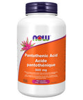 Pantothenic Acid 250 VegCaps by Now