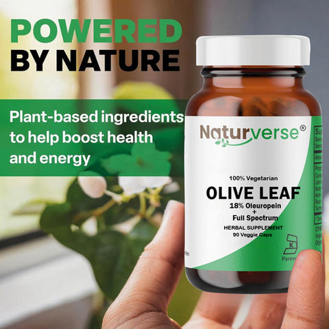 Olive Leaf Powder Capsules Standardized 90 VegCaps by Naturverse
