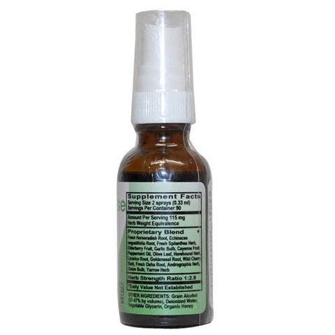 Sinus Blaster Spray 1 Oz by Naturverse