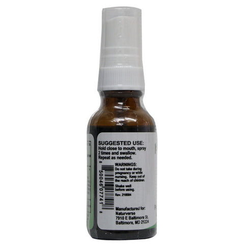 Sinus Blaster Spray 1 Oz by Naturverse