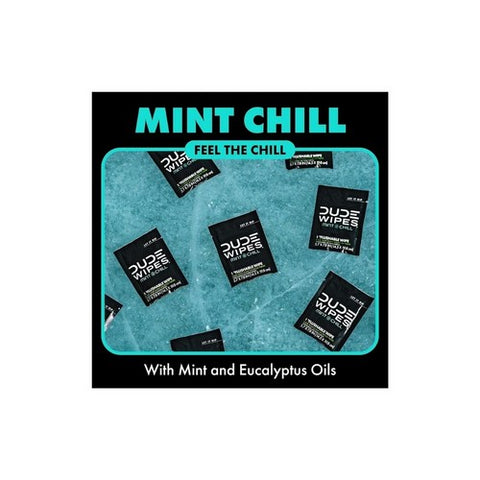 Dude Wipes, Mint Chill On The Go Flushable Personal Wipes, 30 Count