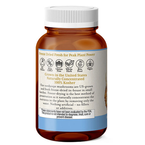 Eclectic Herb, Cordyceps, 120 Caps