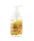 Citrus Grove Foaming Hand Wash 300 Ml by Green Cricket