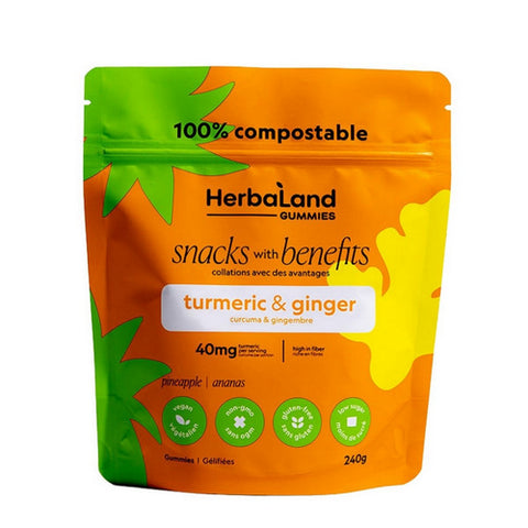 Ginger And Turmeric Snacks 240 Grams (6 Count) by Herbaland