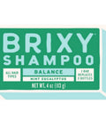 Shampoo Bar Mint Eucalyptus 113 Grams by Brixy