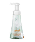 Balsam And Berry Foaming Hand Wash 300 Ml by Method Products