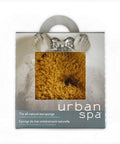 Full Body Sea Sponge 1 Count by Urban Spa