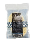Natural Cleansing Sponge For Shower 1 Count by Urban Spa