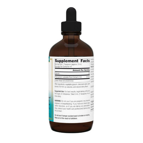 Source Naturals, Wellness Easy Breathe Syrup, 8 fl oz