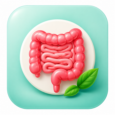 Gut Health